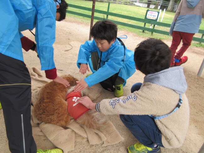 遠足-6