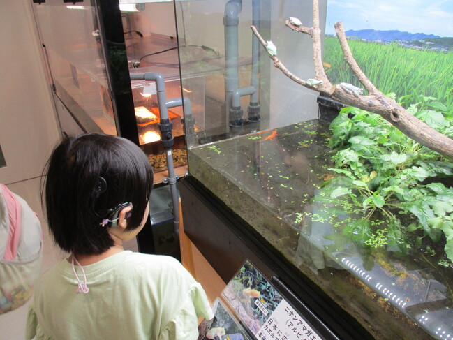遠足-5